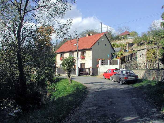 Zavt