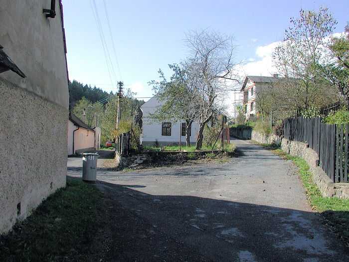 Zavt