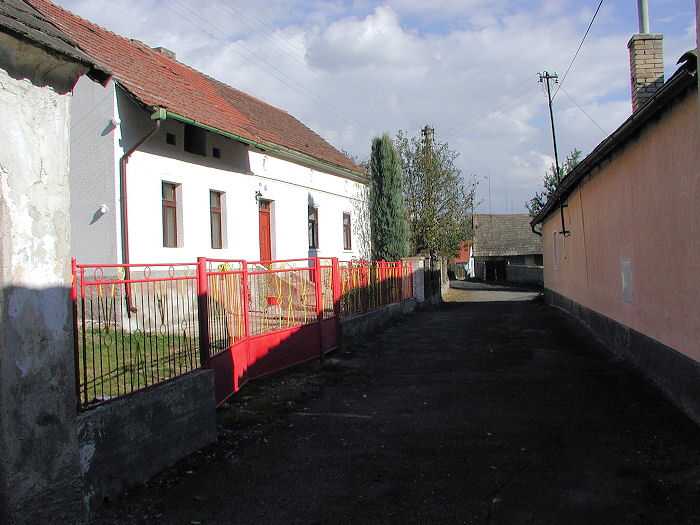 Zavt