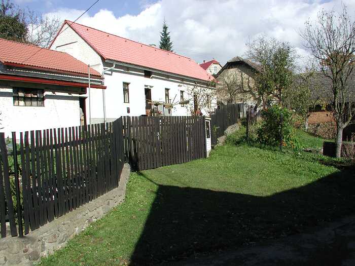 Zavt