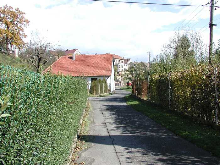 Zavt