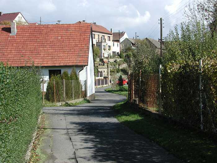 Zavt