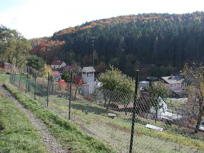 Zavt