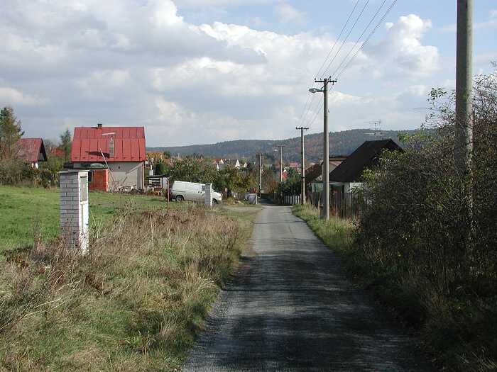 Zavt