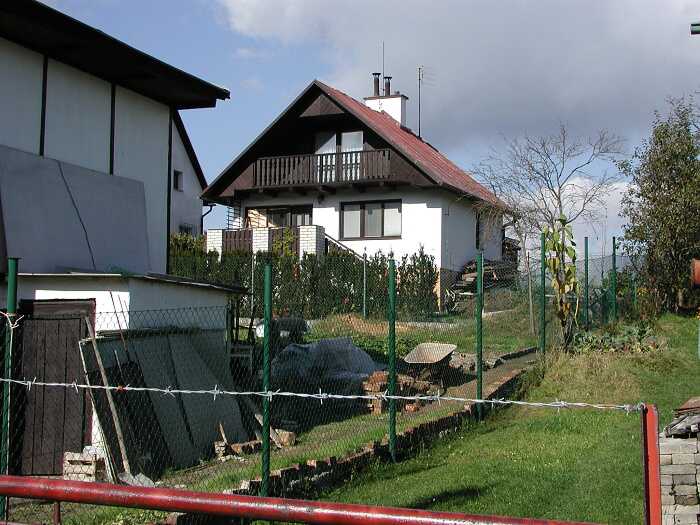 Zavt