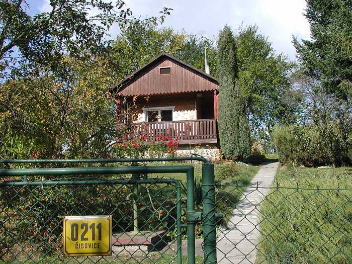 Zavt