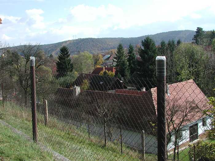Zavt