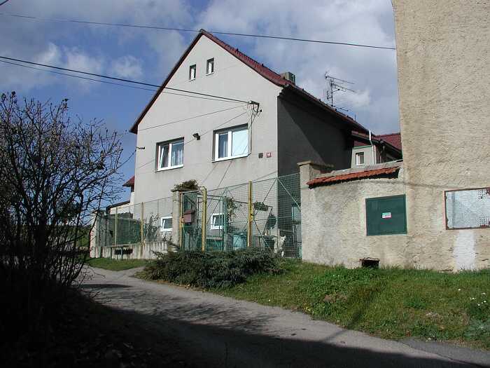 Zavt