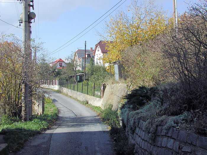 Zavt