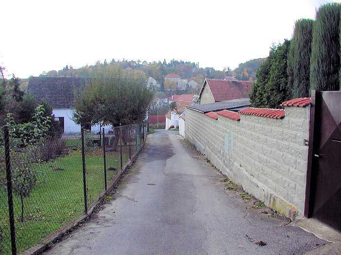 Zavt