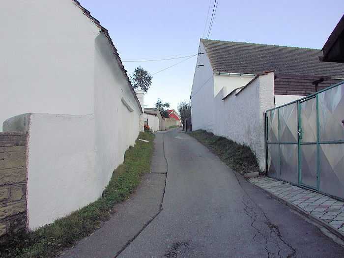 Zavt