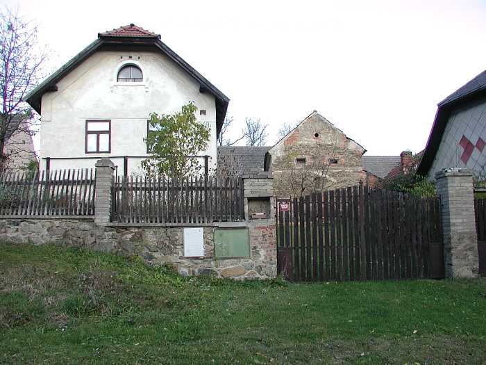 Zavt