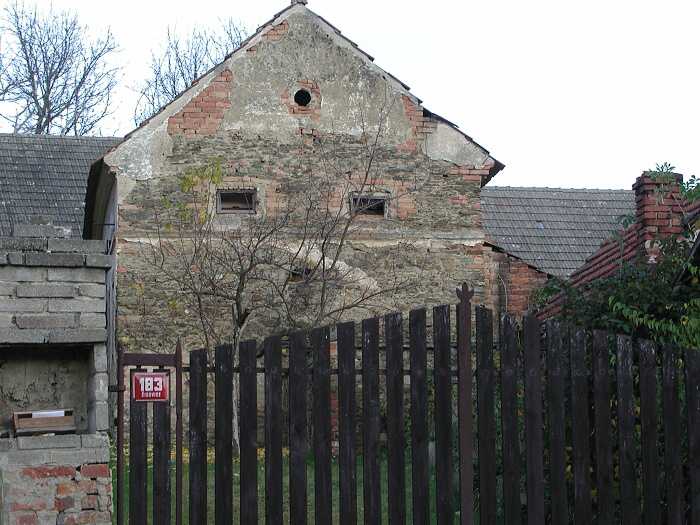 Zavt
