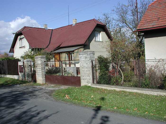 Zavt