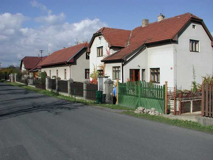 Zavt