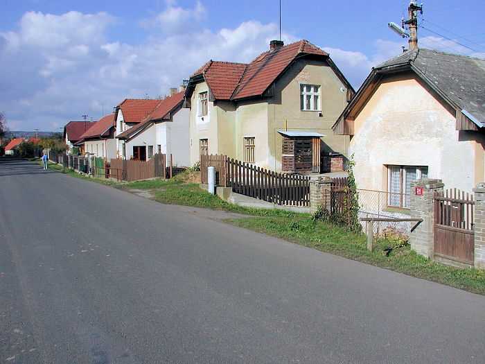 Zavt