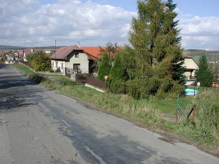 Zavt