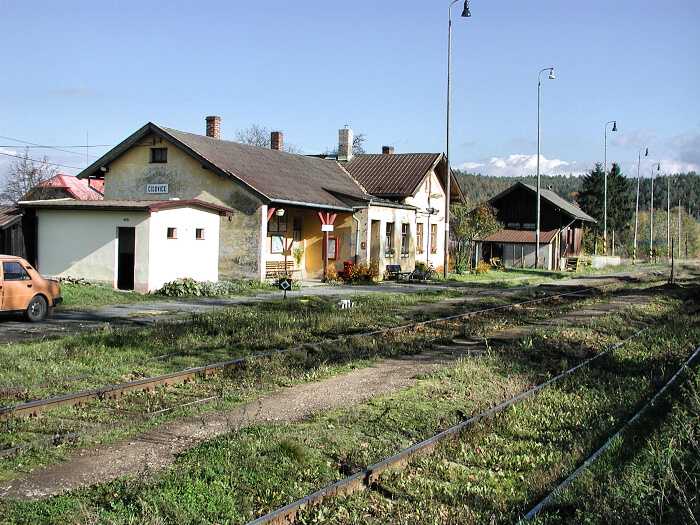 Zavt