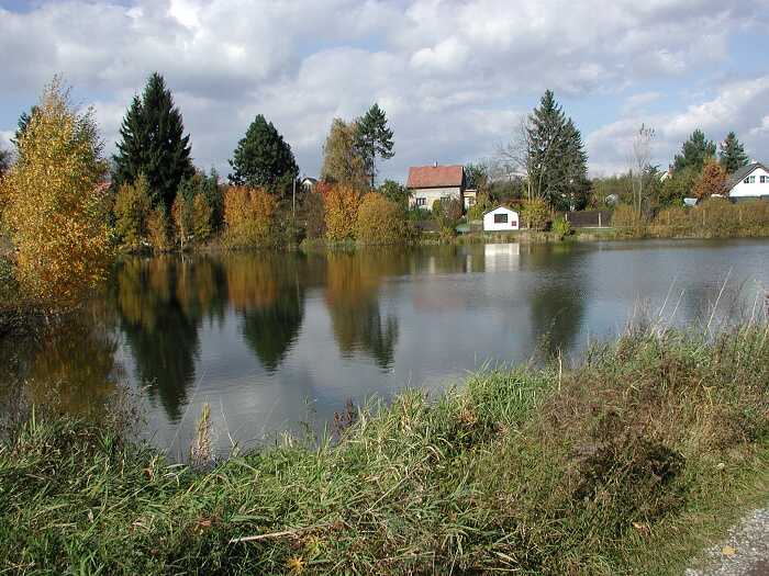Zavt