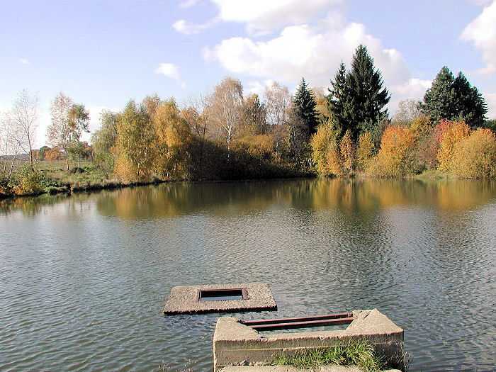 Zavt
