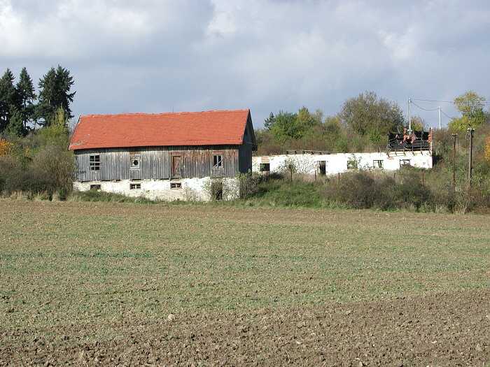 Zavt