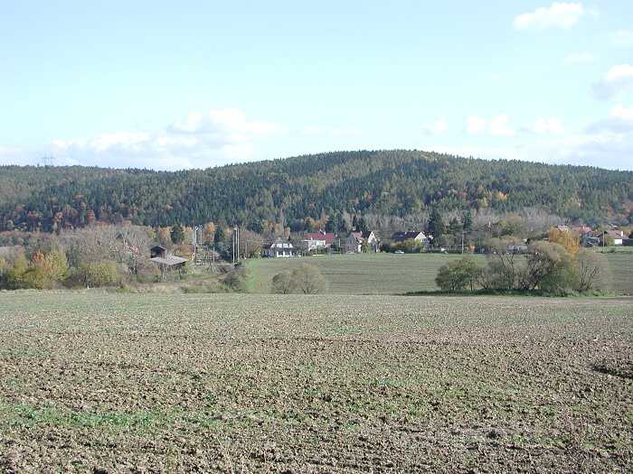 Zavt