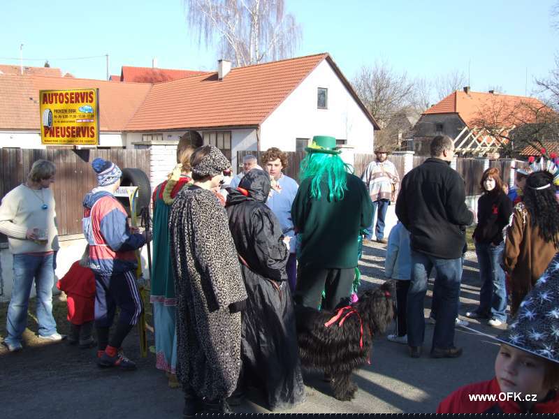 Zavt