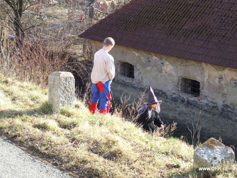 Zavt