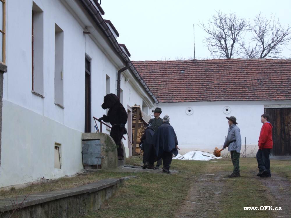 Zavt