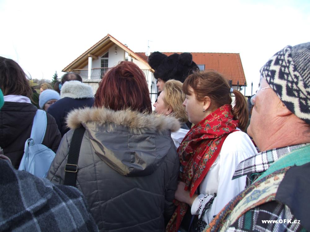 Zavt