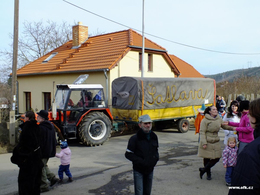 Zavt