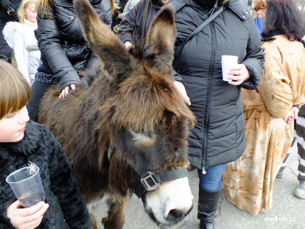 Zavt