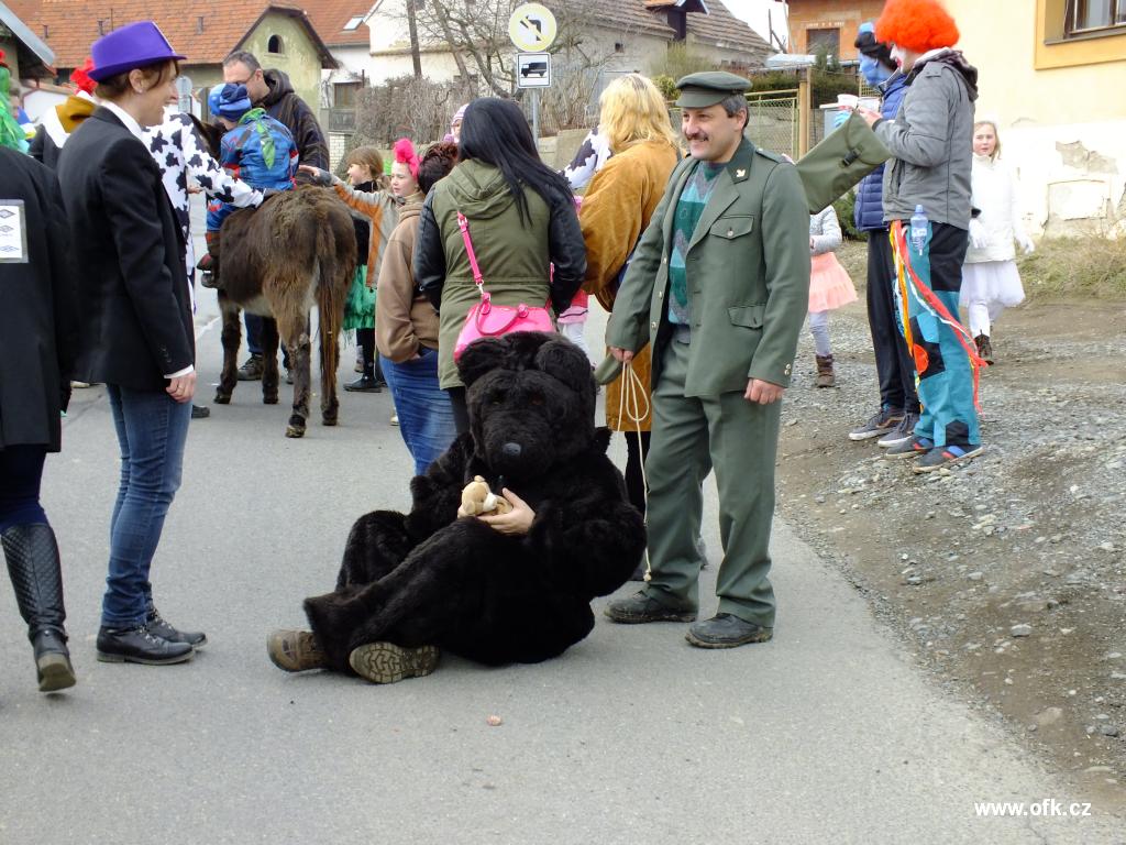 Zavt