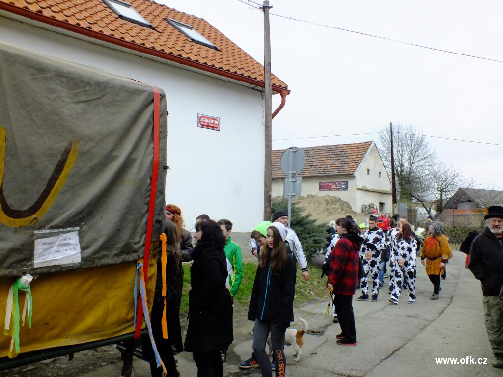 Zavt