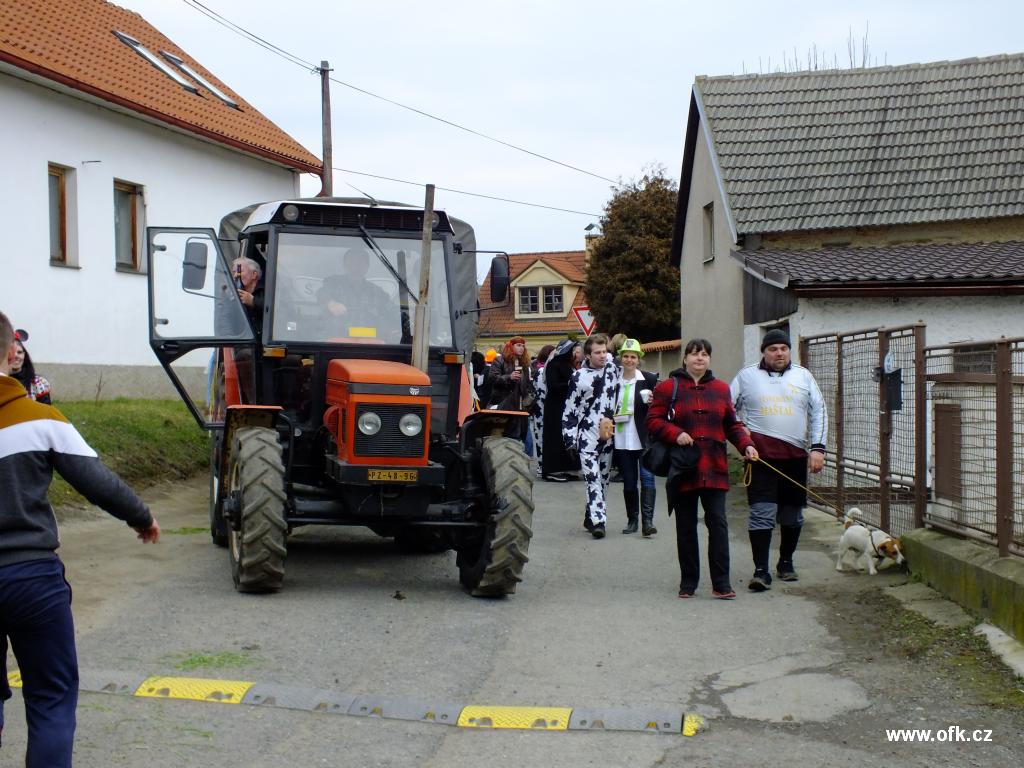 Zavt