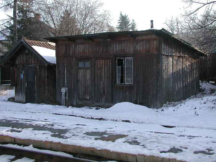 Zavt