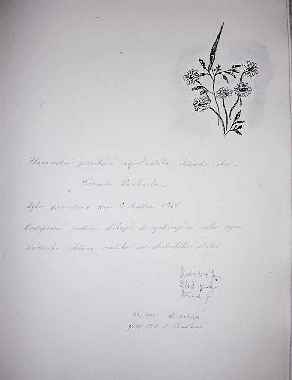 Zavt