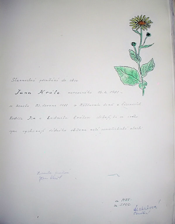 Zavt