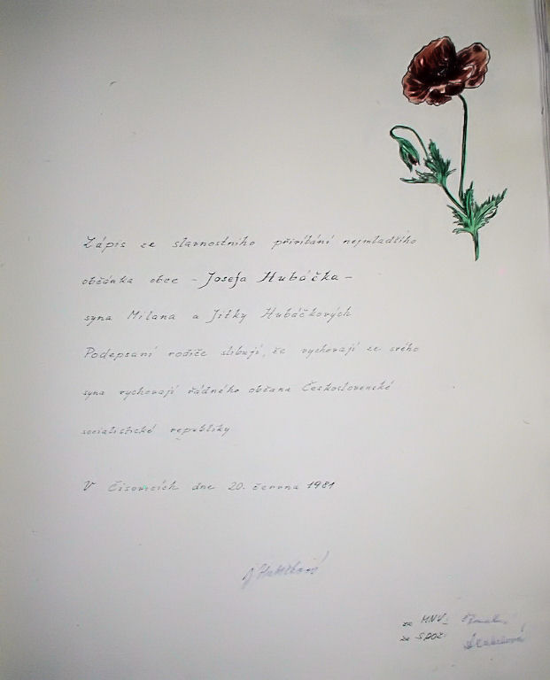 Zavt