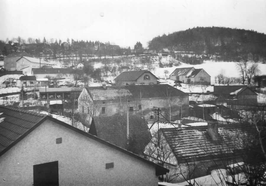 Zavt