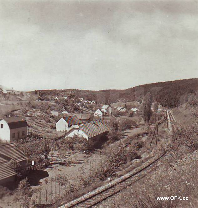 Zavt